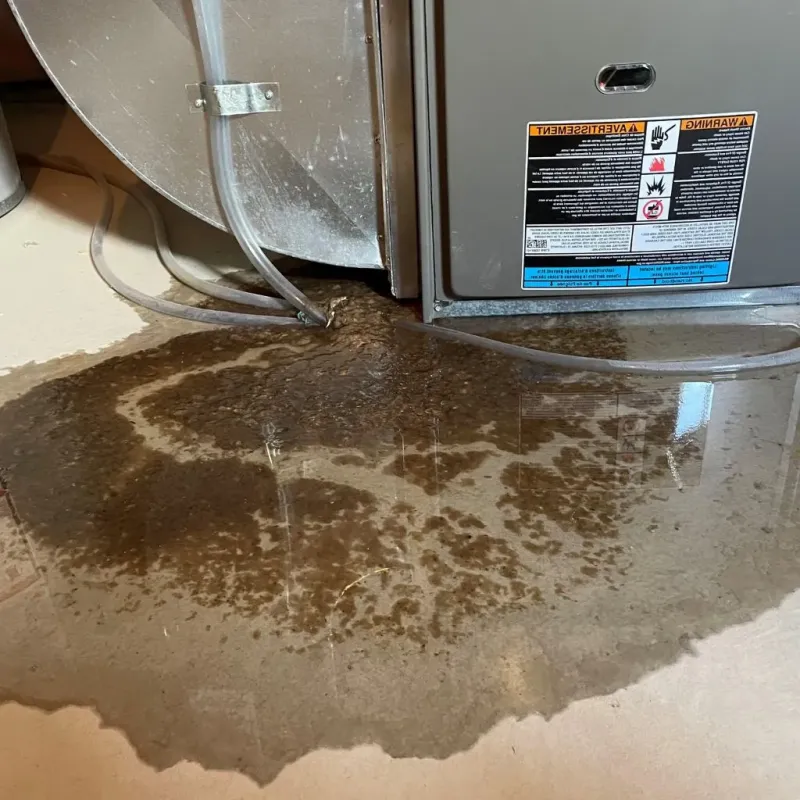 Pipe Burst and Leak Restoration in Jefferson, NC