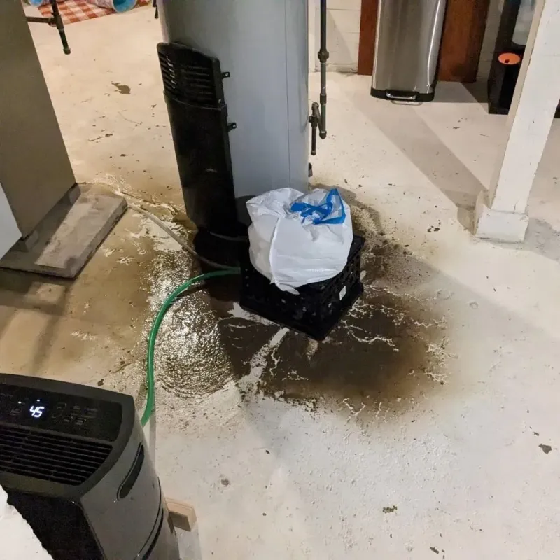 Sewage Backup Cleanup Service in Jefferson, NC